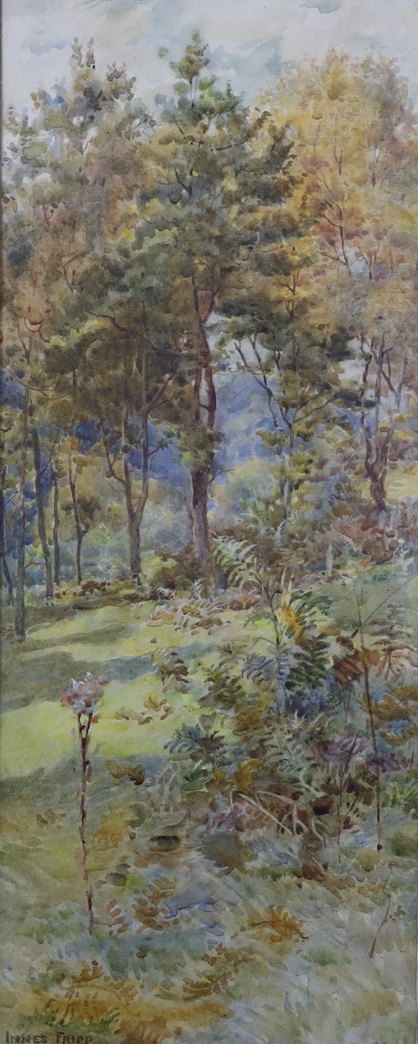 Innes Fripp (1867-1963), pair of watercolours, Woodland scenes, signed, 38 x 15cm